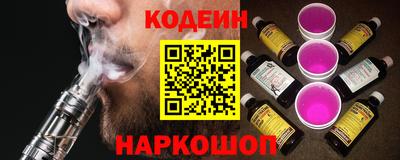 мдпв Кингисепп