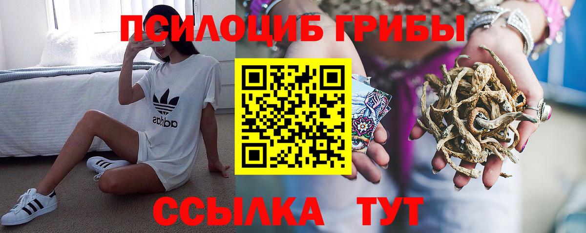 Псилоцибиновые грибы Psilocybine cubensis Тихвин