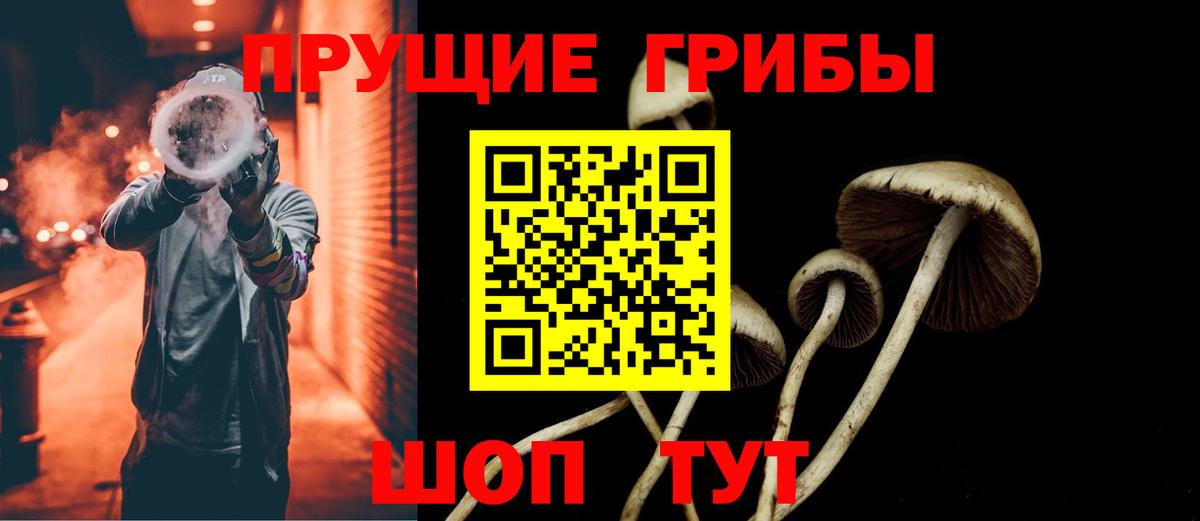 Псилоцибиновые грибы Psilocybe  Вход с VPN  Тихвин  Галлюциногенные грибы ЛСД 